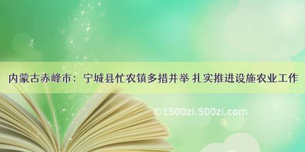 内蒙古赤峰市：宁城县忙农镇多措并举 扎实推进设施农业工作