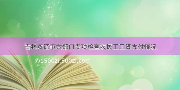 吉林双辽市六部门专项检查农民工工资支付情况