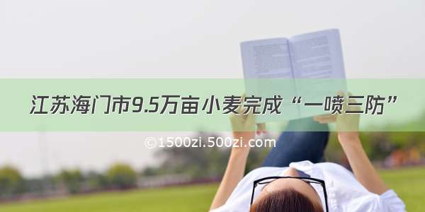 江苏海门市9.5万亩小麦完成“一喷三防”