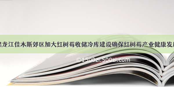 黑龙江佳木斯郊区加大红树莓收储冷库建设确保红树莓产业健康发展