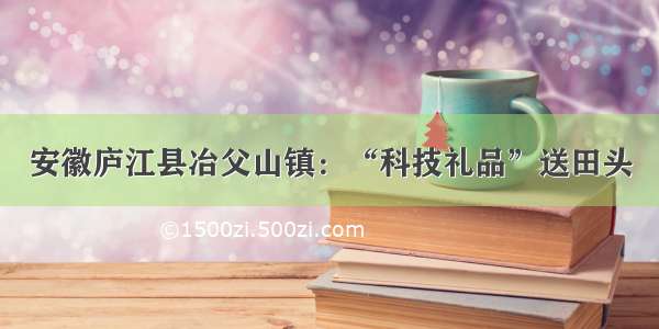 安徽庐江县冶父山镇：“科技礼品”送田头
