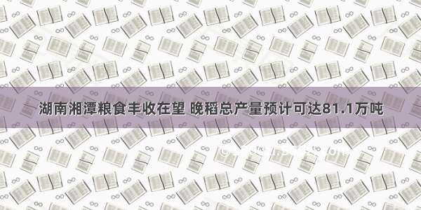 湖南湘潭粮食丰收在望 晚稻总产量预计可达81.1万吨