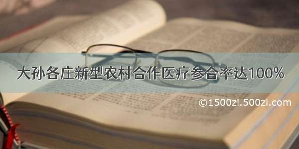 大孙各庄新型农村合作医疗参合率达100%