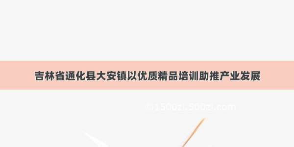 吉林省通化县大安镇以优质精品培训助推产业发展