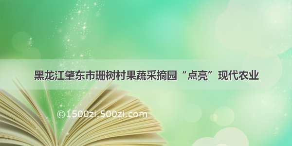 黑龙江肇东市珊树村果蔬采摘园“点亮”现代农业