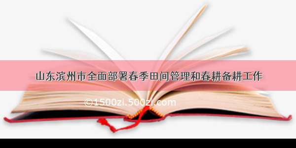 山东滨州市全面部署春季田间管理和春耕备耕工作