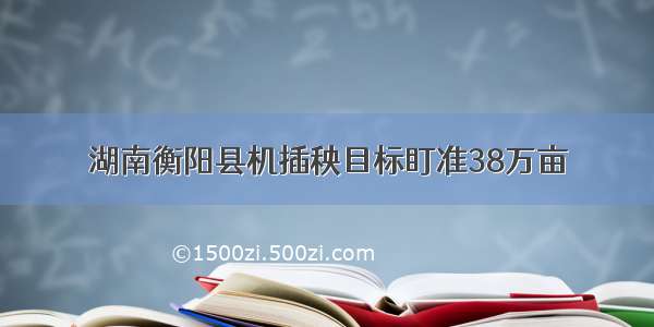 湖南衡阳县机插秧目标盯准38万亩