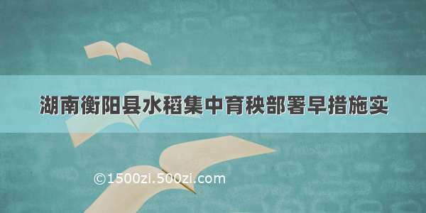 湖南衡阳县水稻集中育秧部署早措施实