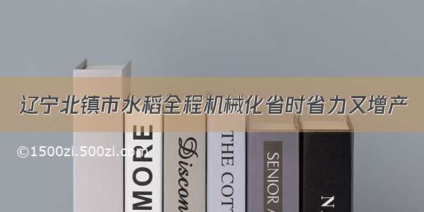 辽宁北镇市水稻全程机械化省时省力又增产