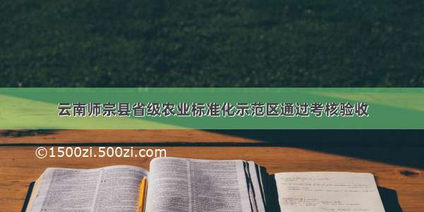 云南师宗县省级农业标准化示范区通过考核验收