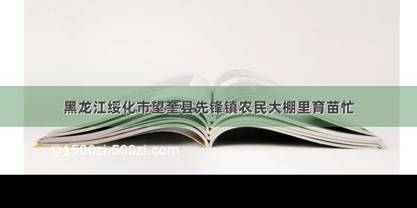 黑龙江绥化市望奎县先锋镇农民大棚里育苗忙