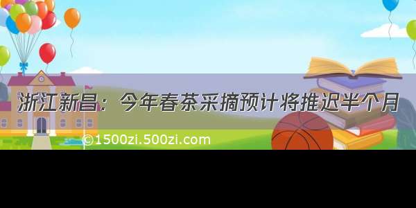 浙江新昌：今年春茶采摘预计将推迟半个月