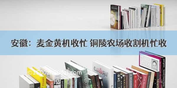 安徽：麦金黄机收忙 铜陵农场收割机忙收