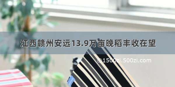 江西赣州安远13.9万亩晚稻丰收在望