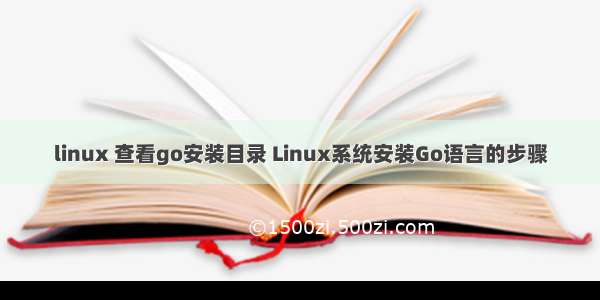 linux 查看go安装目录 Linux系统安装Go语言的步骤