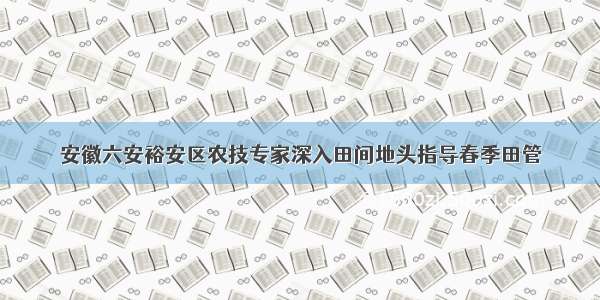 安徽六安裕安区农技专家深入田间地头指导春季田管