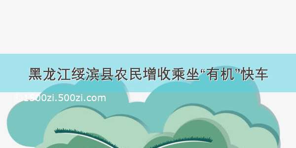 黑龙江绥滨县农民增收乘坐“有机”快车