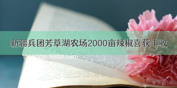 新疆兵团芳草湖农场2000亩辣椒喜获丰收