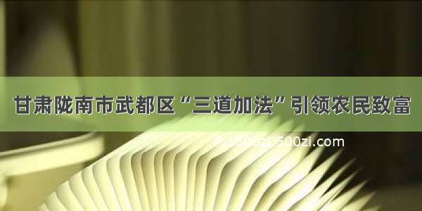 甘肃陇南市武都区“三道加法”引领农民致富