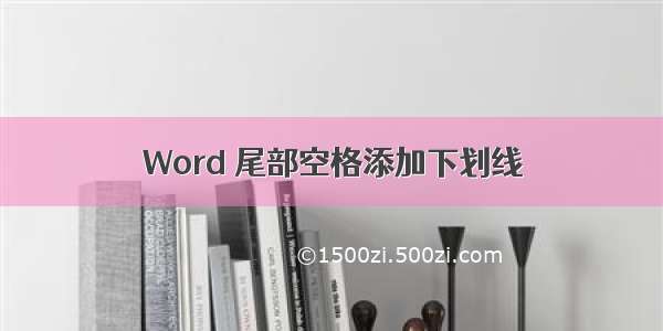 Word 尾部空格添加下划线