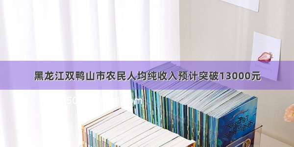 黑龙江双鸭山市农民人均纯收入预计突破13000元