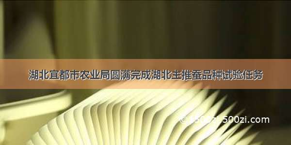 湖北宜都市农业局圆满完成湖北主推蚕品种试验任务