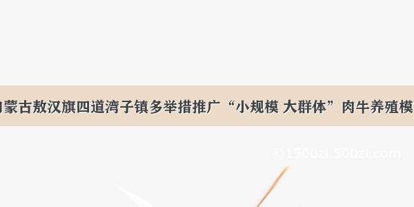 内蒙古敖汉旗四道湾子镇多举措推广“小规模 大群体”肉牛养殖模式