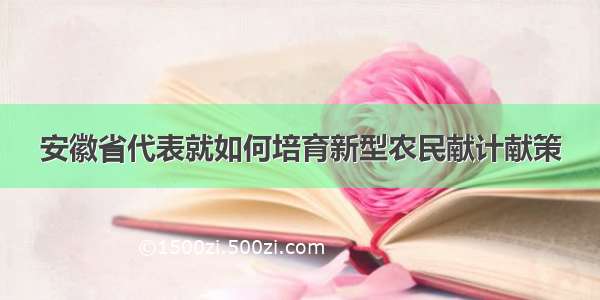 安徽省代表就如何培育新型农民献计献策