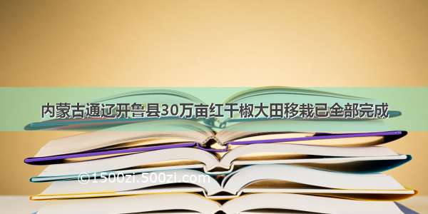 内蒙古通辽开鲁县30万亩红干椒大田移栽已全部完成