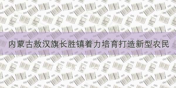 内蒙古敖汉旗长胜镇着力培育打造新型农民