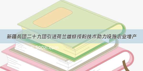 新疆兵团二十九团引进荷兰雄蜂授粉技术助力设施农业增产