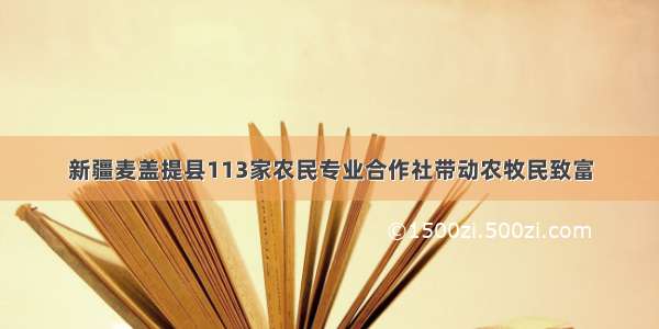 新疆麦盖提县113家农民专业合作社带动农牧民致富