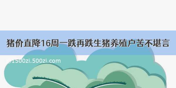 猪价直降16周一跌再跌生猪养殖户苦不堪言