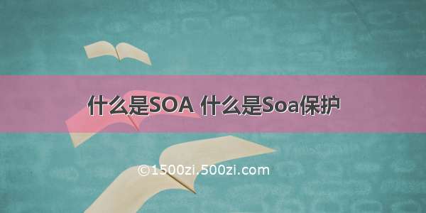 什么是SOA 什么是Soa保护