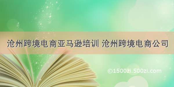 沧州跨境电商亚马逊培训 沧州跨境电商公司