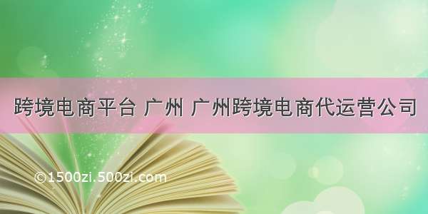 跨境电商平台 广州 广州跨境电商代运营公司