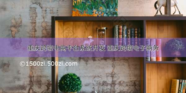 重庆跨境电商平台系统开发 重庆跨境电子商务