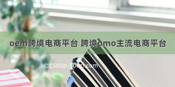 oem跨境电商平台 跨境omo主流电商平台