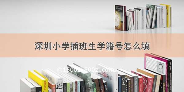 深圳小学插班生学籍号怎么填