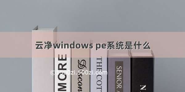 云净windows pe系统是什么