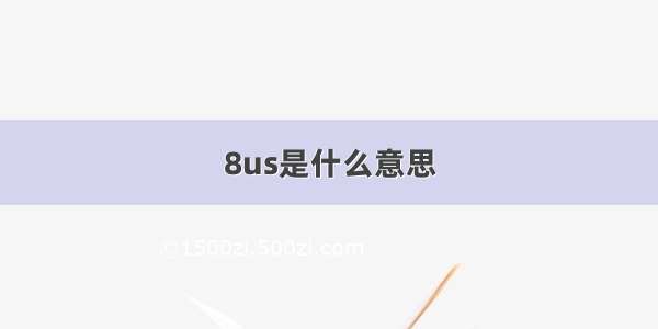 8us是什么意思