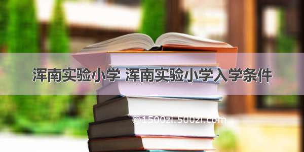 浑南实验小学 浑南实验小学入学条件