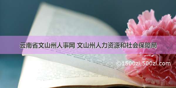 云南省文山州人事网 文山州人力资源和社会保障局