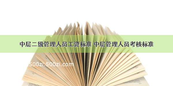 中层二级管理人员工资标准 中层管理人员考核标准