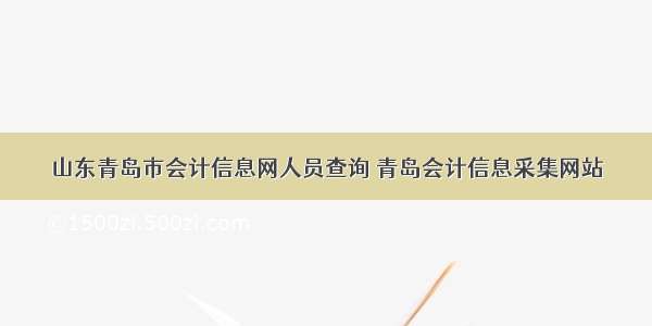 山东青岛市会计信息网人员查询 青岛会计信息采集网站