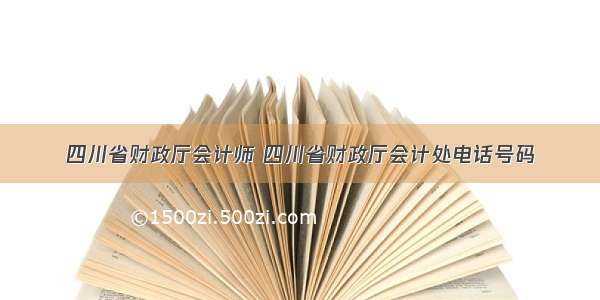 四川省财政厅会计师 四川省财政厅会计处电话号码