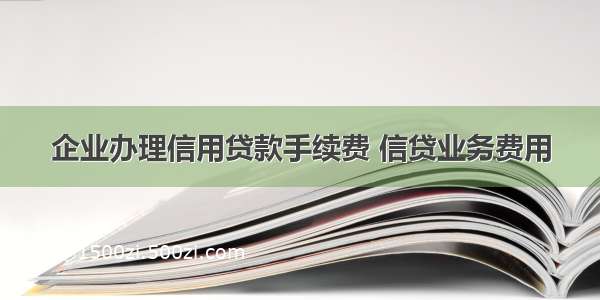 企业办理信用贷款手续费 信贷业务费用