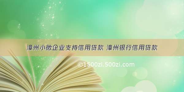 漳州小微企业支持信用贷款 漳州银行信用贷款