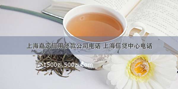 上海嘉定信用贷款公司电话 上海信贷中心电话