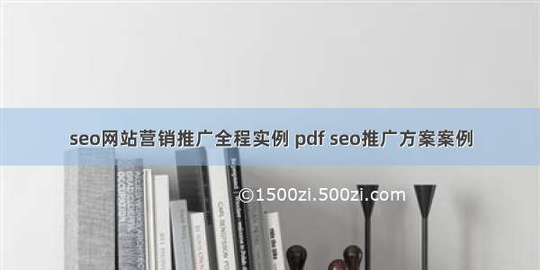 seo网站营销推广全程实例 pdf seo推广方案案例